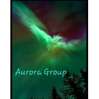 Aurora Group llc logo - Similar company to Aurora Group