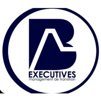 B-Executives logo - Similar company to He Lighting Sa
