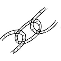 CipherChain Labs logo - Similar company to Azoth Labs