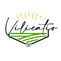 Vilicatio logo - Similar company to Afro Women Workshops
