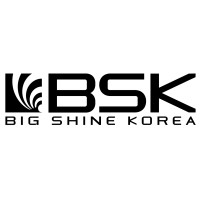 BSK Semiconductors logo - Similar company to Ecu Community And Regional Planning