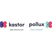 Kastor Pollux logo - Similar company to Echt