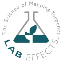 Lab Effects logo - Similar company to Joynt