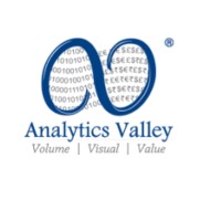 Analytics Valley Technology Private Limited logo - Similar company to Lotus Analytics