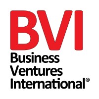 Business Ventures International LLC logo - Similar company to Cloud-Works Ltd
