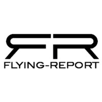 FLYING-REPORT logo - Similar company to Lenra