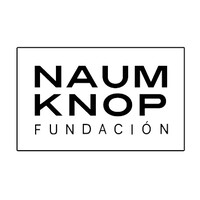 Fundación Naum Knop / Naum Knop Foundation logo - Similar company to Del Infinito