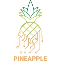 pineapple AG logo - Similar company to Prospera Service