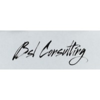 BSL CONSULTING EUROPA logo - Similar company to Certal