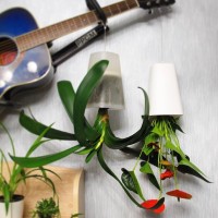 Sky Plants Moscow logo - Similar company to Plants & Plants Group
