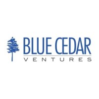 Blue Cedar Ventures Inc.