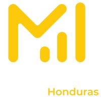 Visual Marketing HN logo - Similar company to Braco Estudio