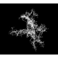 Rhizome Works