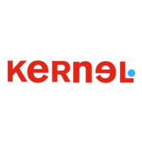 Kernel Business Consulting logo - Similar company to Dpa Business Consulting