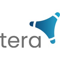Tera Technologies logo - Similar company to Tera Technology Group