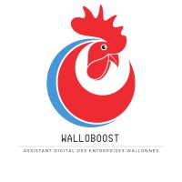 Walloboost logo - Similar company to Simplexity Agency