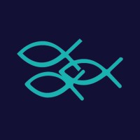 71blue Foundation logo - Similar company to Yoke Creative