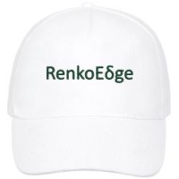 RenkoEdge logo - Similar company to A H Integral Systems