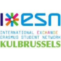 ESN KULBRUSSELS logo - Similar company to Da Gama Solutions Llc