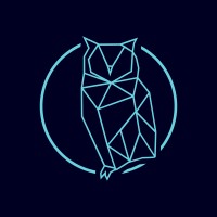 Inteliarts logo - Similar company to Intelliarts