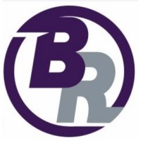 Boss Realty, LLC logo - Similar company to Wealth Bridge Solutions