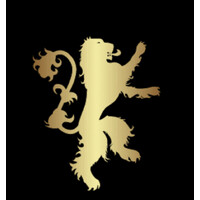 LionRep logo - Similar company to Medically Billed