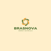 BrasNova Energy Materials - BEM.V logo - Similar company to Tocvan Ventures Corp.