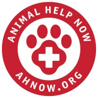 Animal Help Now logo - Similar company to Paw People Foundation