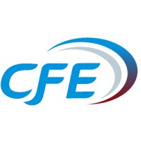 Cash Flow Enhancement Group, Inc.