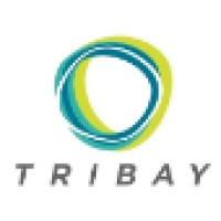 Tribay Enterprise Inc. logo - Similar company to Cisonow
