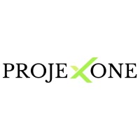 PROJEXONE logo - Similar company to Alps Technical Services
