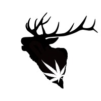 ROCKY MTN DISPENSARY INC