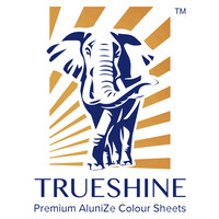 Trueshine Building Solutions Private Limited. logo - Similar company to Niryat Business Services  - Nbs Global Business Pvt Ltd