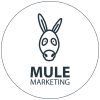 Mule Marketing logo - Similar company to Community Men2Men Buddying Ltd