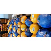 Fru logo - Similar company to Fresh Yard