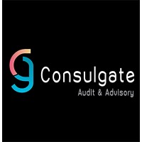 Consulgate Audit & Advisory logo - Similar company to Avenir Soft