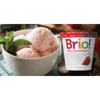 Brio Ice Cream logo - Similar company to Kate'S Ice Cream