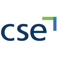 CSE Imagerie Médicale Numérique logo - Similar company to Réseau D'Imagerie Sud Francilien Risf