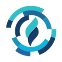 Digital's Flare logo - Similar company to Digital Flares