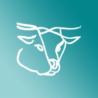 Desert Wagyu logo - Similar company to Wagyu Games, Llc.