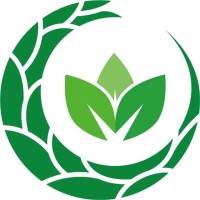 ExcessChip Technology Limited logo - Similar company to Jd Component Co.,Ltd.