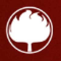Burning Oak Studios logo - Similar company to Afrokaans