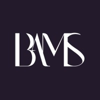 BAMS & Associés logo - Similar company to Intelligent Audit