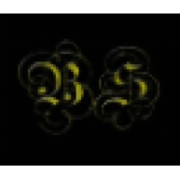 Best Sellers logo - Similar company to Ss Garments