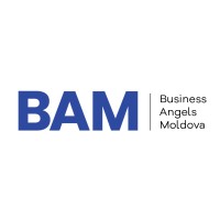 Business Angels Moldova logo - Similar company to Mozaic
