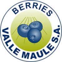 Valle Maule S.A. logo - Similar company to Inse E.I.R.L