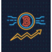 Crypto Option Growth logo - Similar company to Crypto Brokers