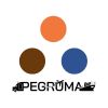 Pegruma logo - Similar company to Int - The Institute For Technology And Innovation Management Mahidol University
