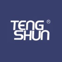 TengShun logo - Similar company to Shenzhenshi Zhenhuan Electronic Co., Ltd.