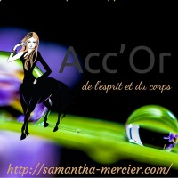 Acc'Or logo - Similar company to Accor Consulting
